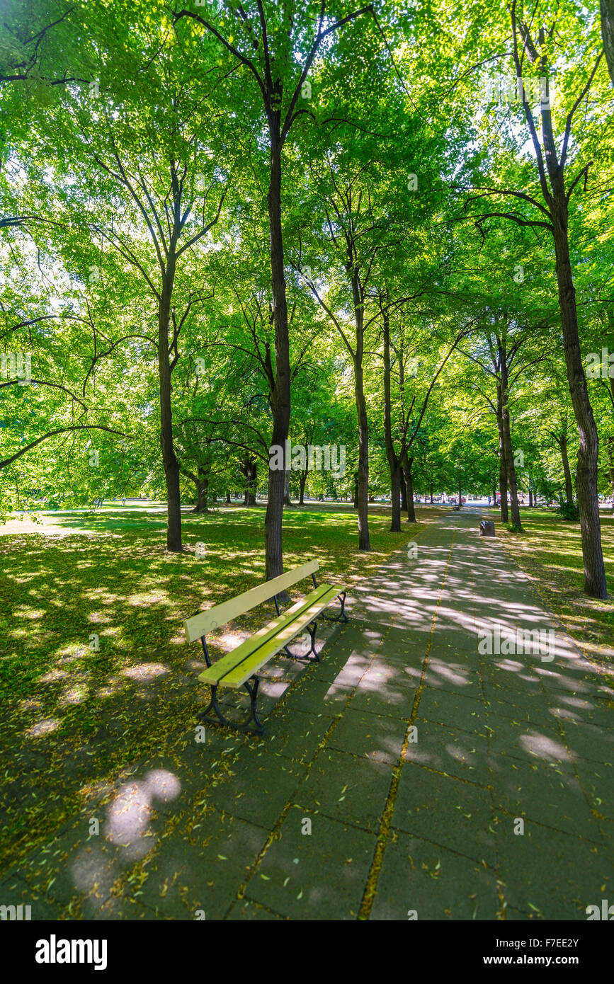 Bench in the park under trees, park Ogród Saski, Warsaw, Mazovia Province, Poland Stock Photo