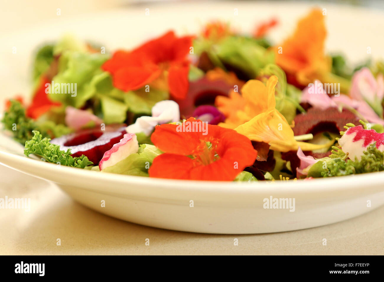 Edible flower garnish hires stock photography and images Alamy