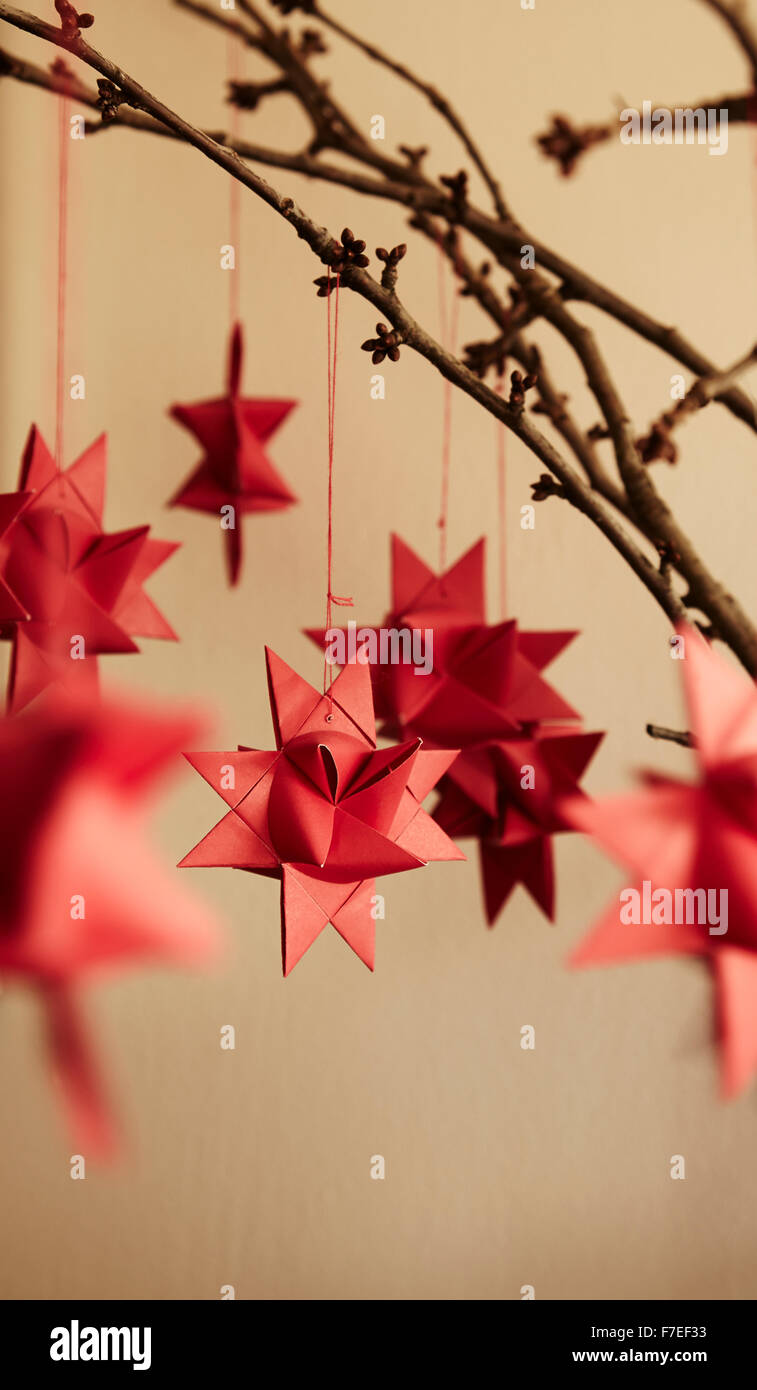 Christmas decoration, Fröbelsterne (Froebel stars) on cherry boughs/twigs Stock Photo