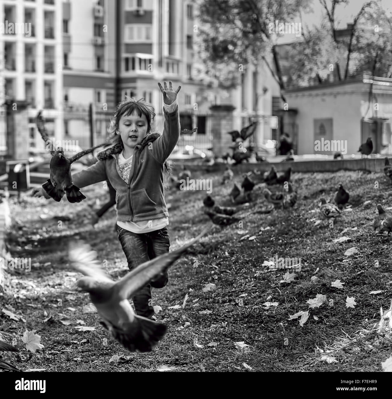 22/09 - Young girl chases pigeons in a local park in Ufa Russia during the Autumn of 2015 September Stock Photo