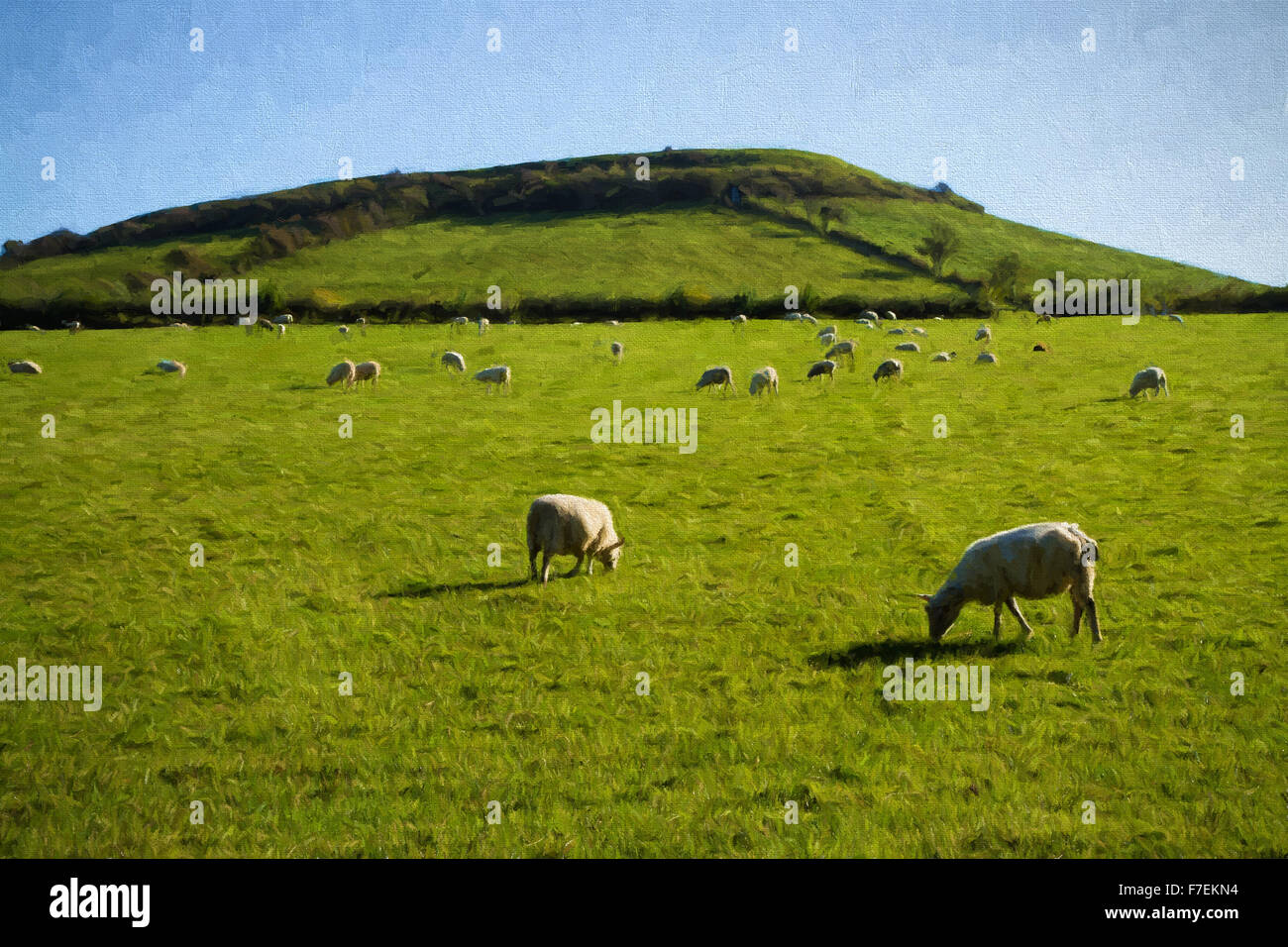 Somerset countryside view with sheep grazing Brent Knoll near Weston-super-Mare England UK illustration like oil painting Stock Photo