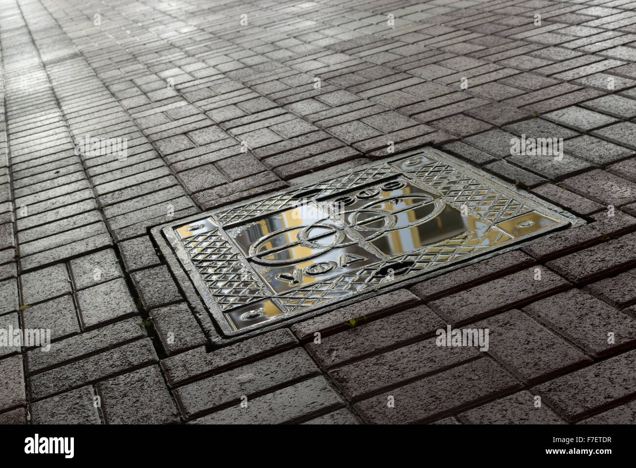 Neon light bounces off of a manhole cover after a rain storm. This image was taken in Ufa Russia in October 2015. Monochrome Bla Stock Photo
