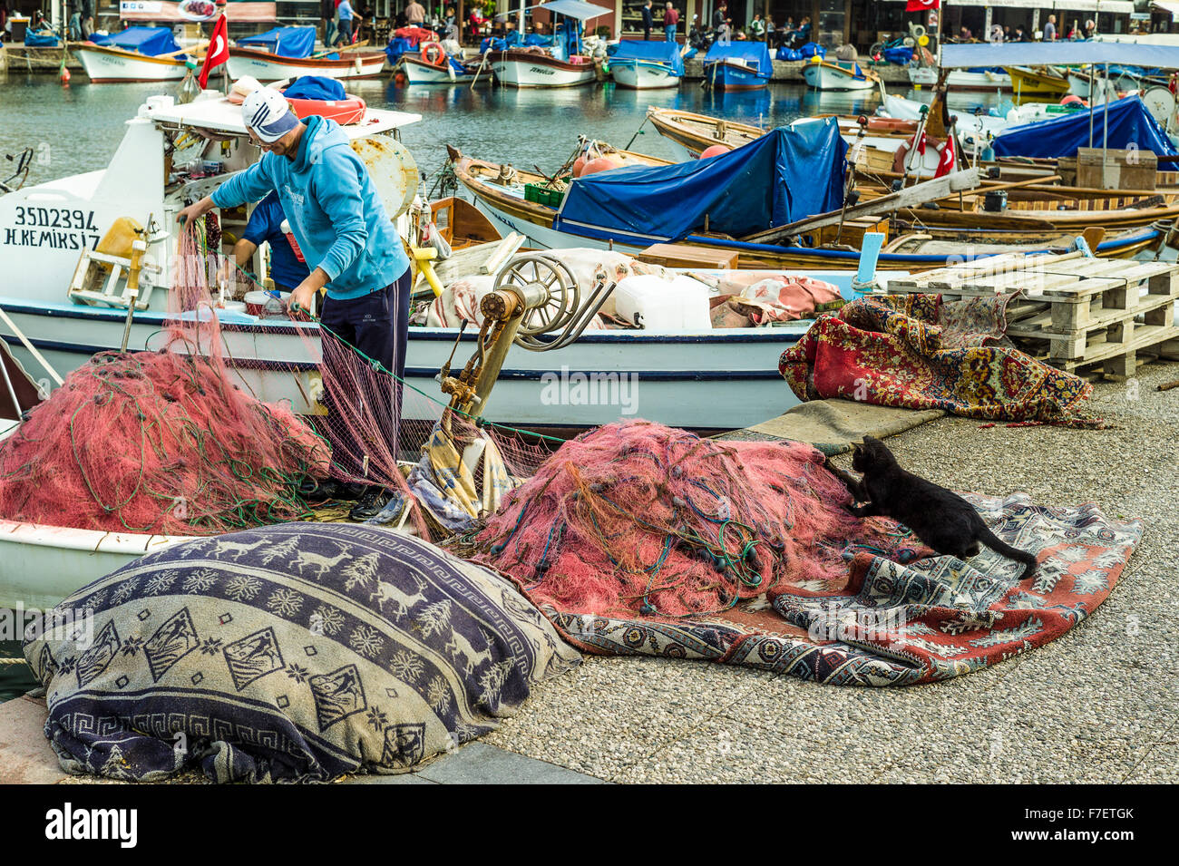 Tug or war: Fisherman pulling his nets catches the attention of the local cat! Stock Photo