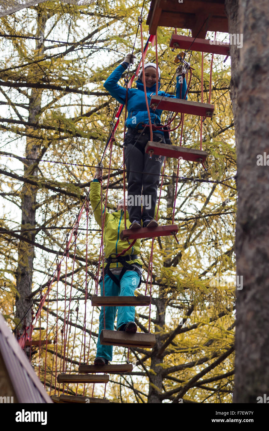 To Climb Trees