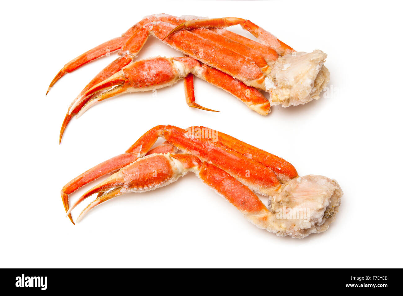 Cooked Snow crab (Chionoecetes opilio) or Tanner crab clusters isolated