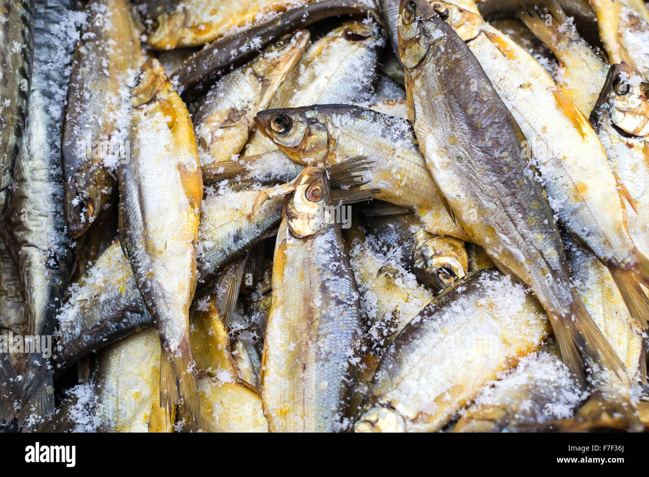 Small whole smoked and cured herring (Clupea harengus) fish on Stock