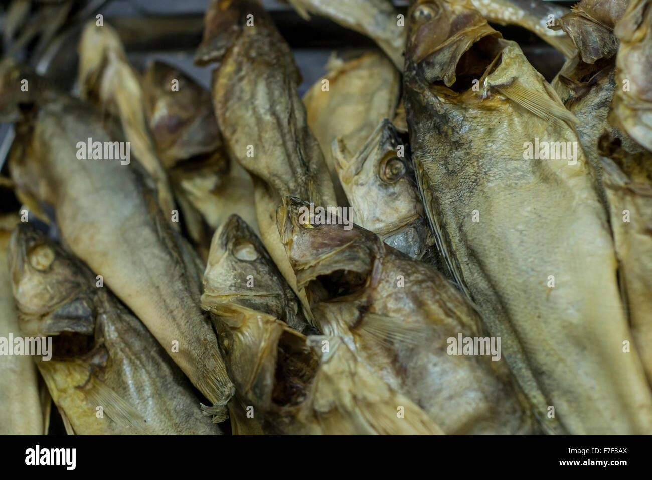 Dried salted fish on display in a local Russian Beer shop. The fish is