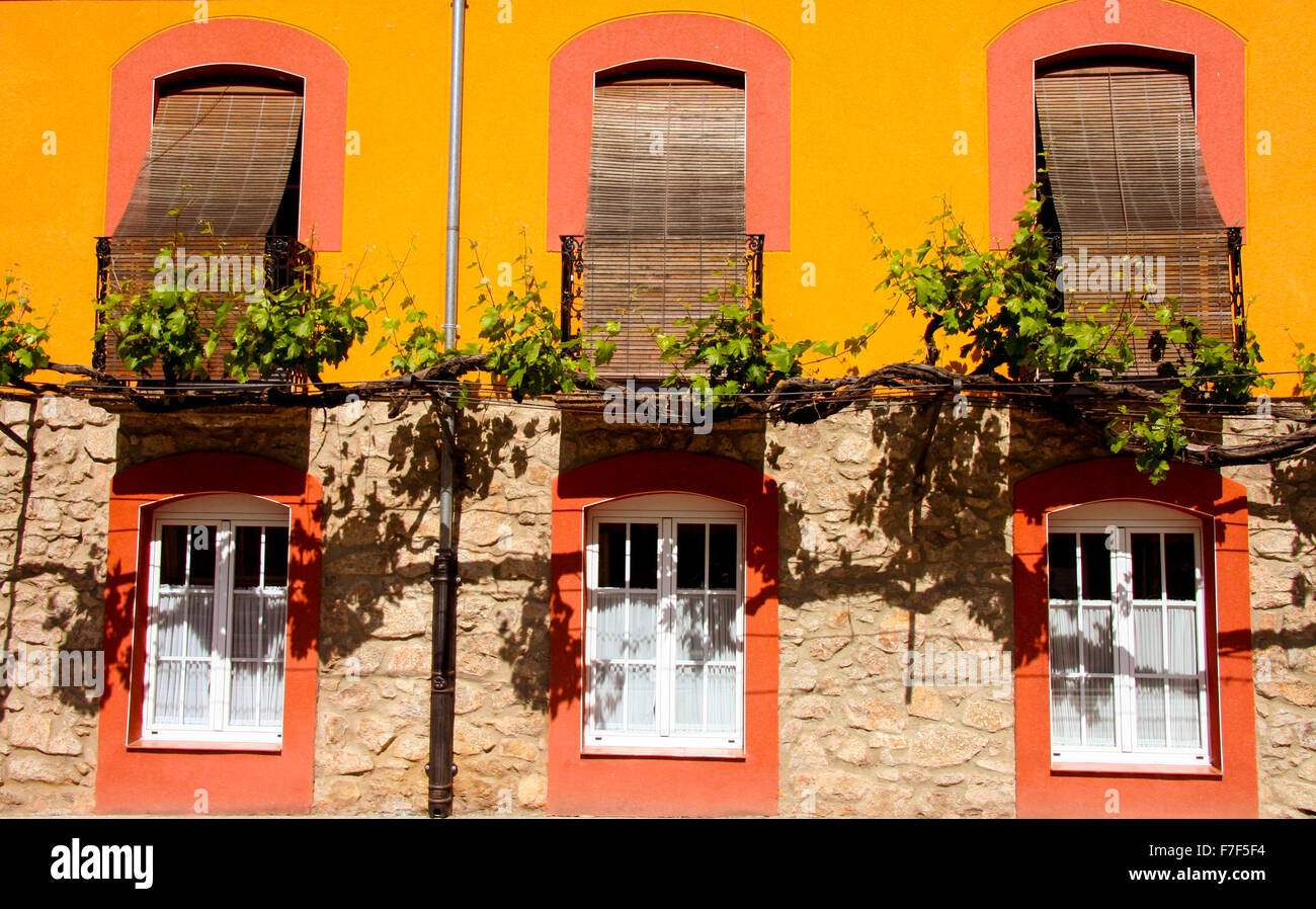 Trained vine on street facade over three windows. Popular architecture of Banos de Montemayor, Spain Stock Photo