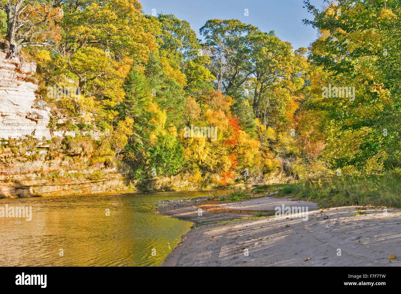 RIVER FINDHORN MORAY SCOTLAND GOLDEN RIVER WITH AUTUMN TREES AND SAND BANK Stock Photo