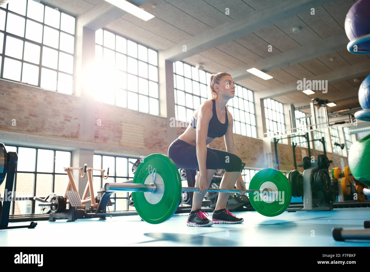 Young woman working hard in the gym. Fit female athlete lifting weights in health club. Stock Photo