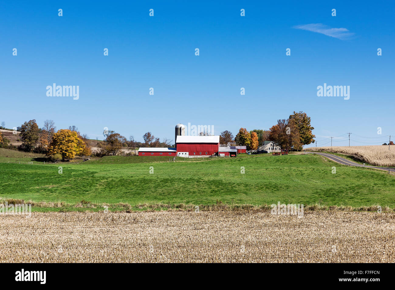 Rustic red barn and corn field, West Winfield, New York, USA Stock Photo