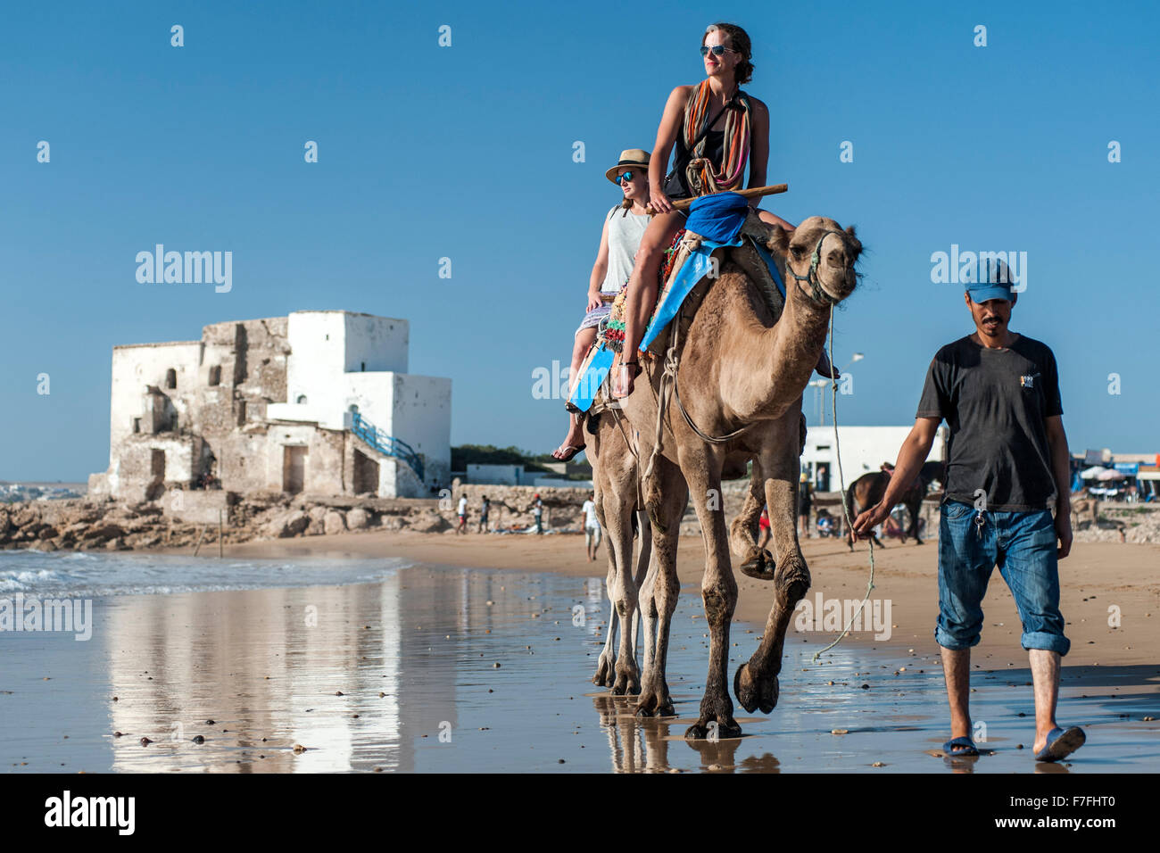 Tourists riding camels along the water's edge of Sidi Kaouki beach in Morocco. Stock Photo