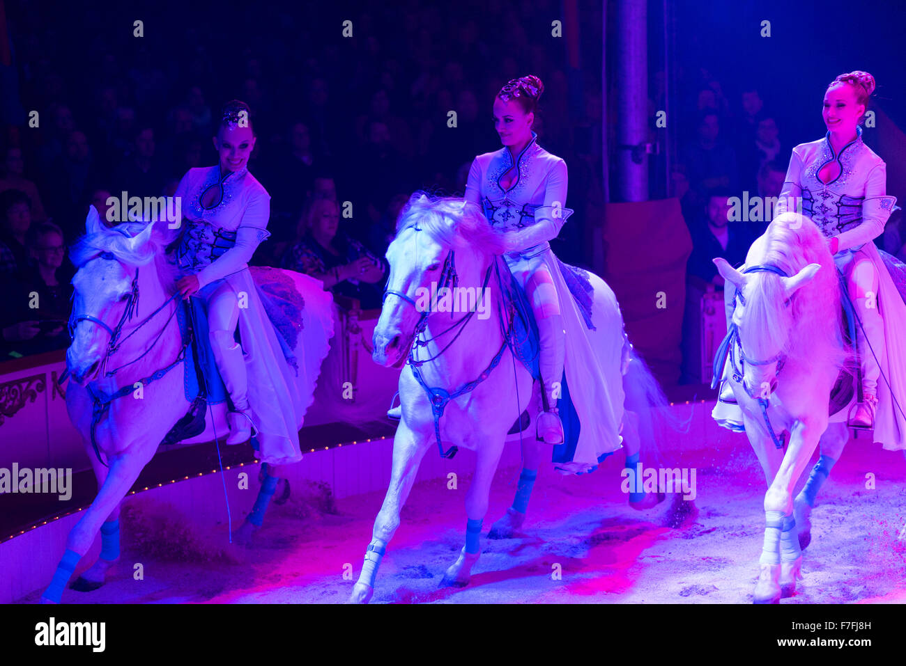 Artists of the Roncalli Circus (the Saabel Family with their horses) perform their show 'Salto Vitale'. Stock Photo
