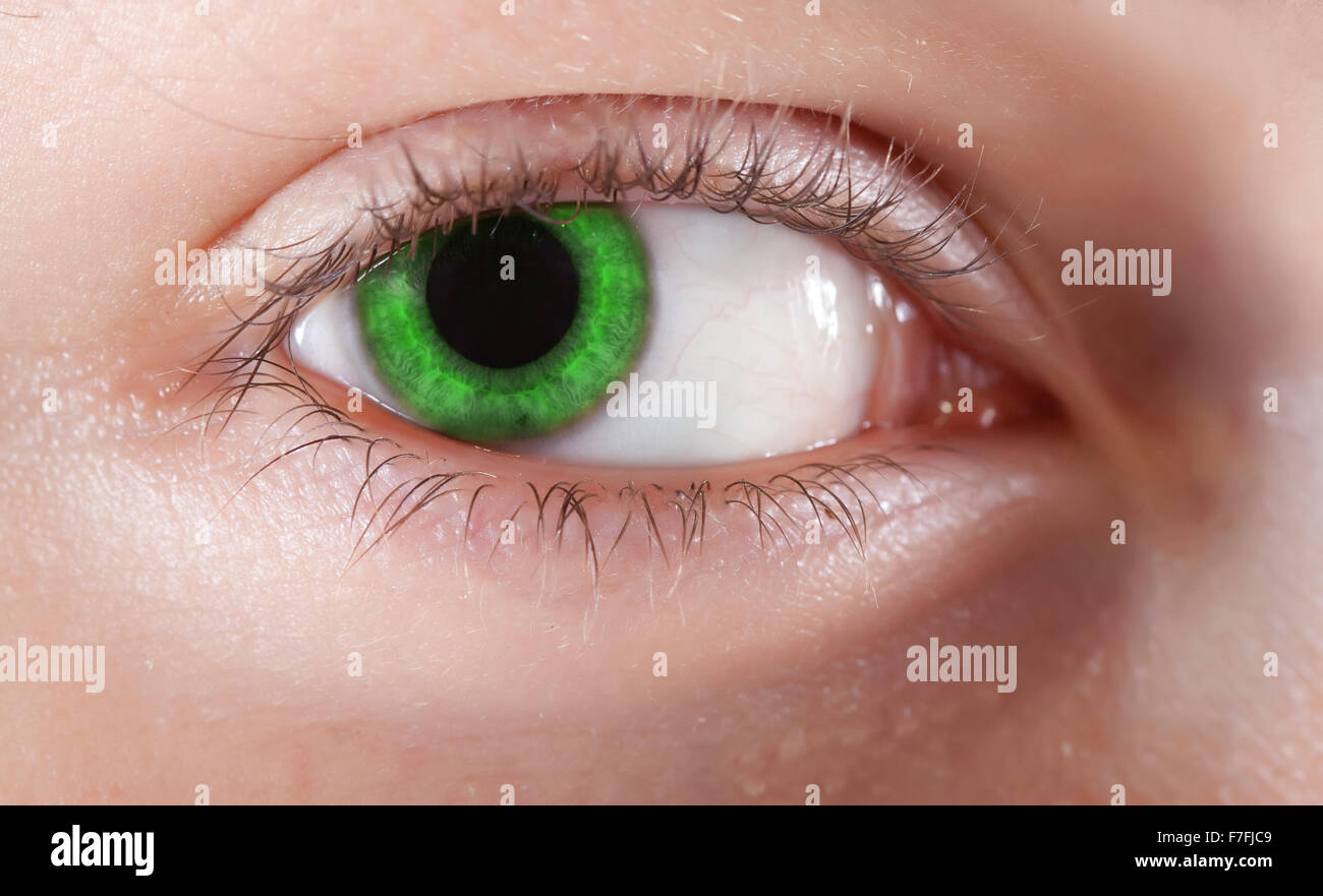 closeup of beauty girl's green eye. Macro shot Stock Photo - Alamy
