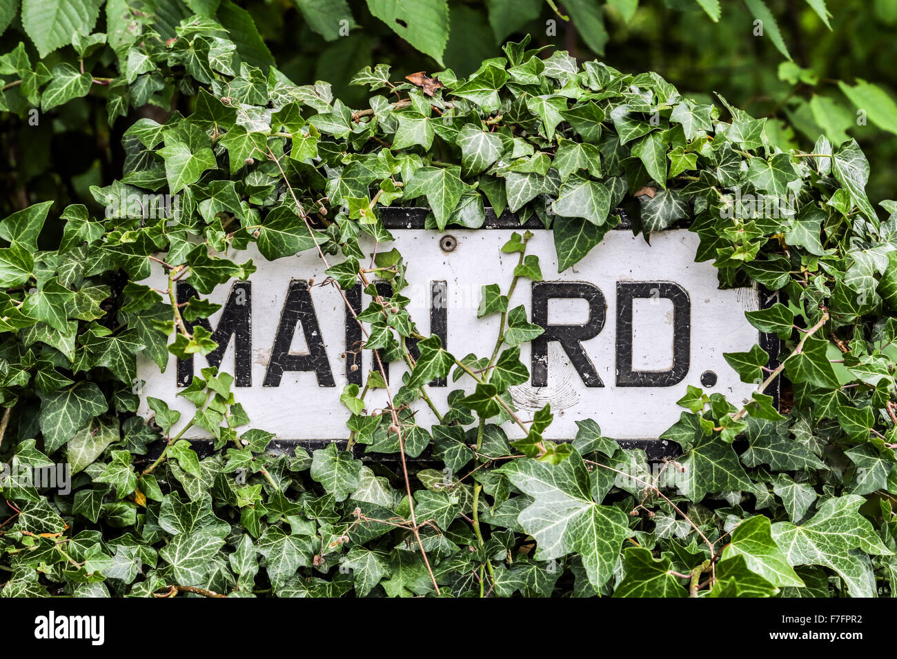 Main Road road sign over grown with vines Stock Photo
