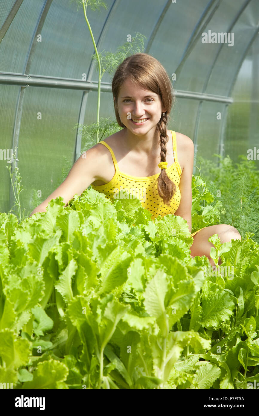 young girl is picking lettuce in the greenhouse Stock Photo Alamy