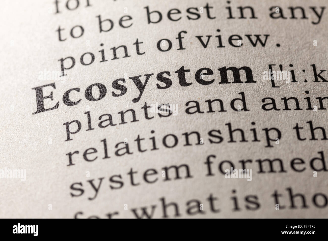 Fake Dictionary, Dictionary definition of the word ecosystem Stock Photo