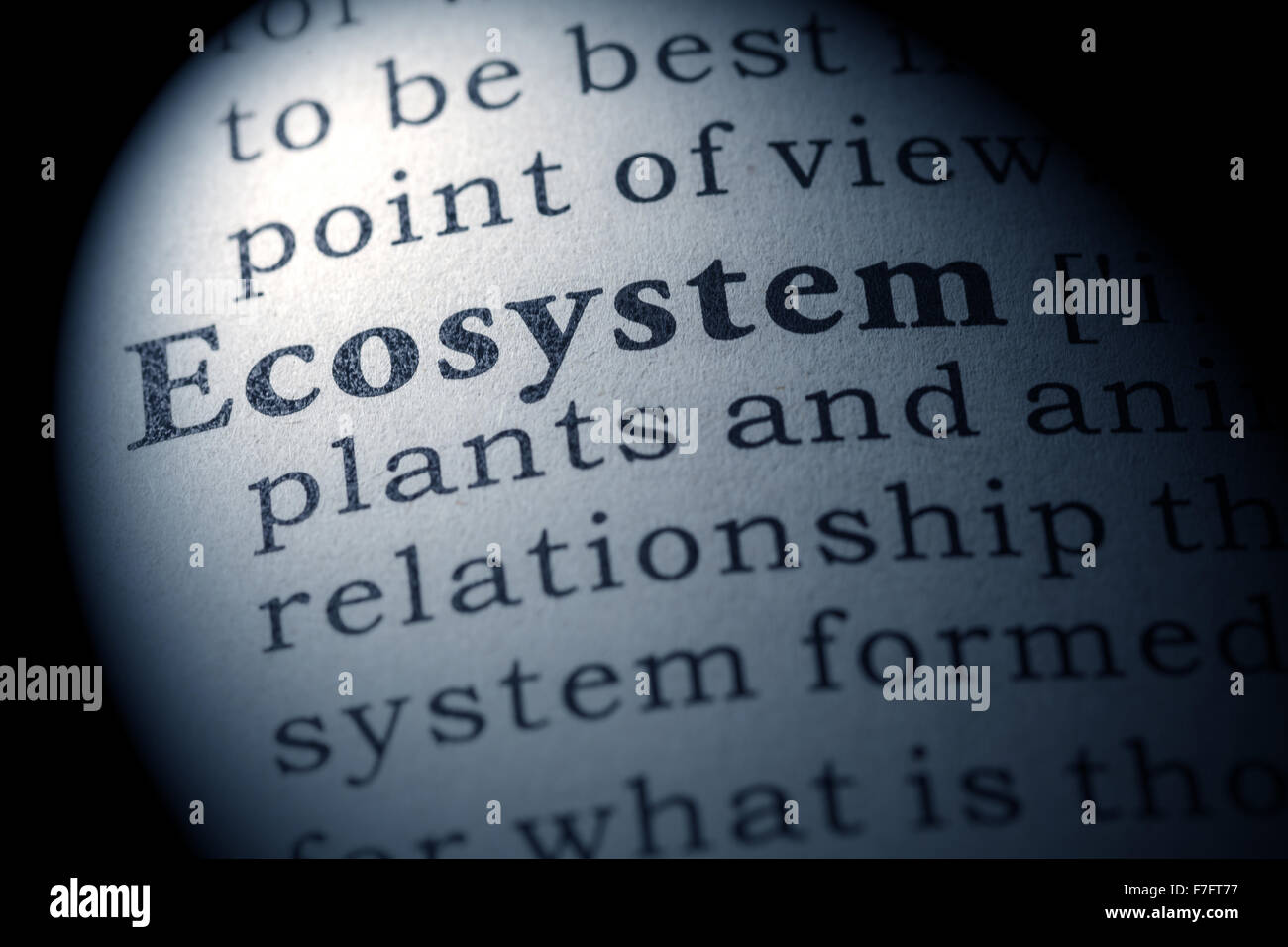 Fake Dictionary, Dictionary definition of the word ecosystem Stock Photo