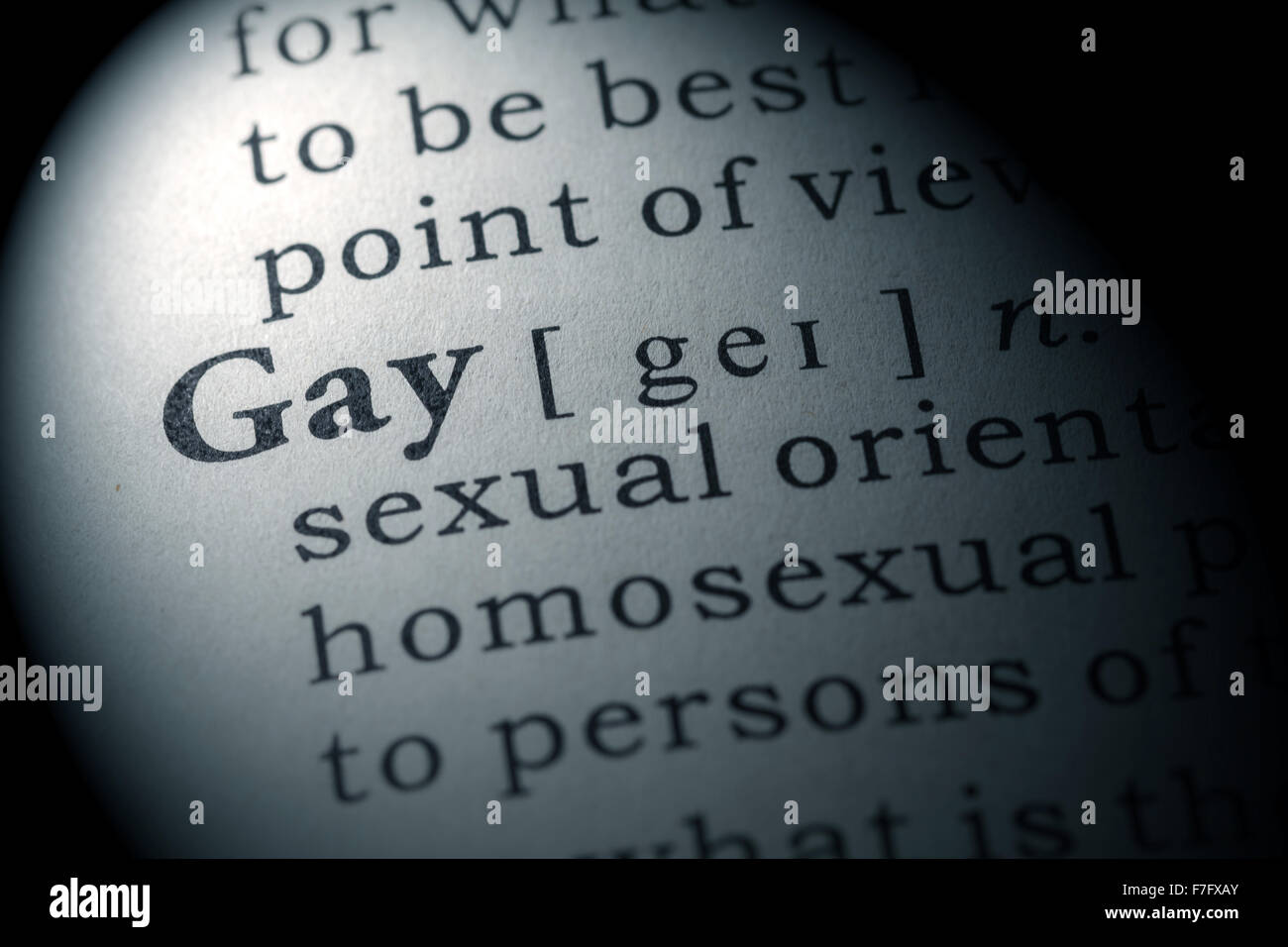 Fake Dictionary, Dictionary definition of the word gay Stock Photo Alamy