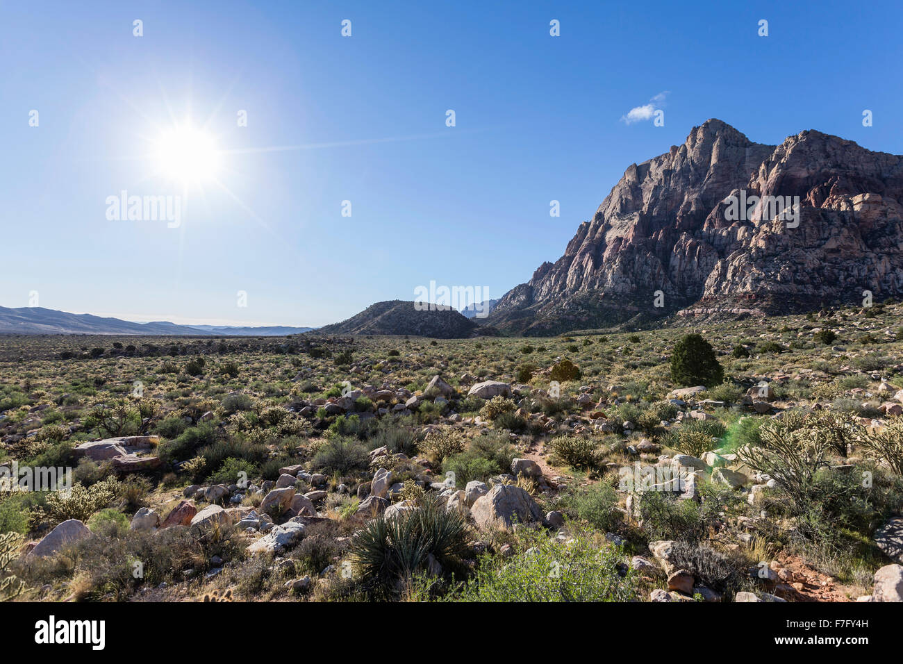 Bright morning sun at Red Rock Canyon National Conservation Area near Las Vegas, Nevada. Stock Photo