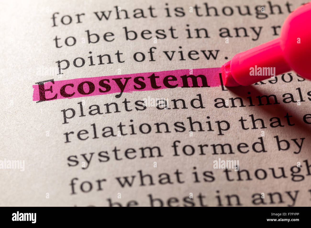 Fake Dictionary, Dictionary definition of the word ecosystem Stock Photo