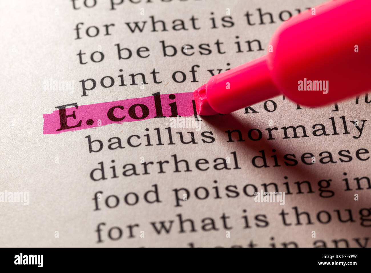 Fake Dictionary, Dictionary definition of the word E. coli Stock Photo
