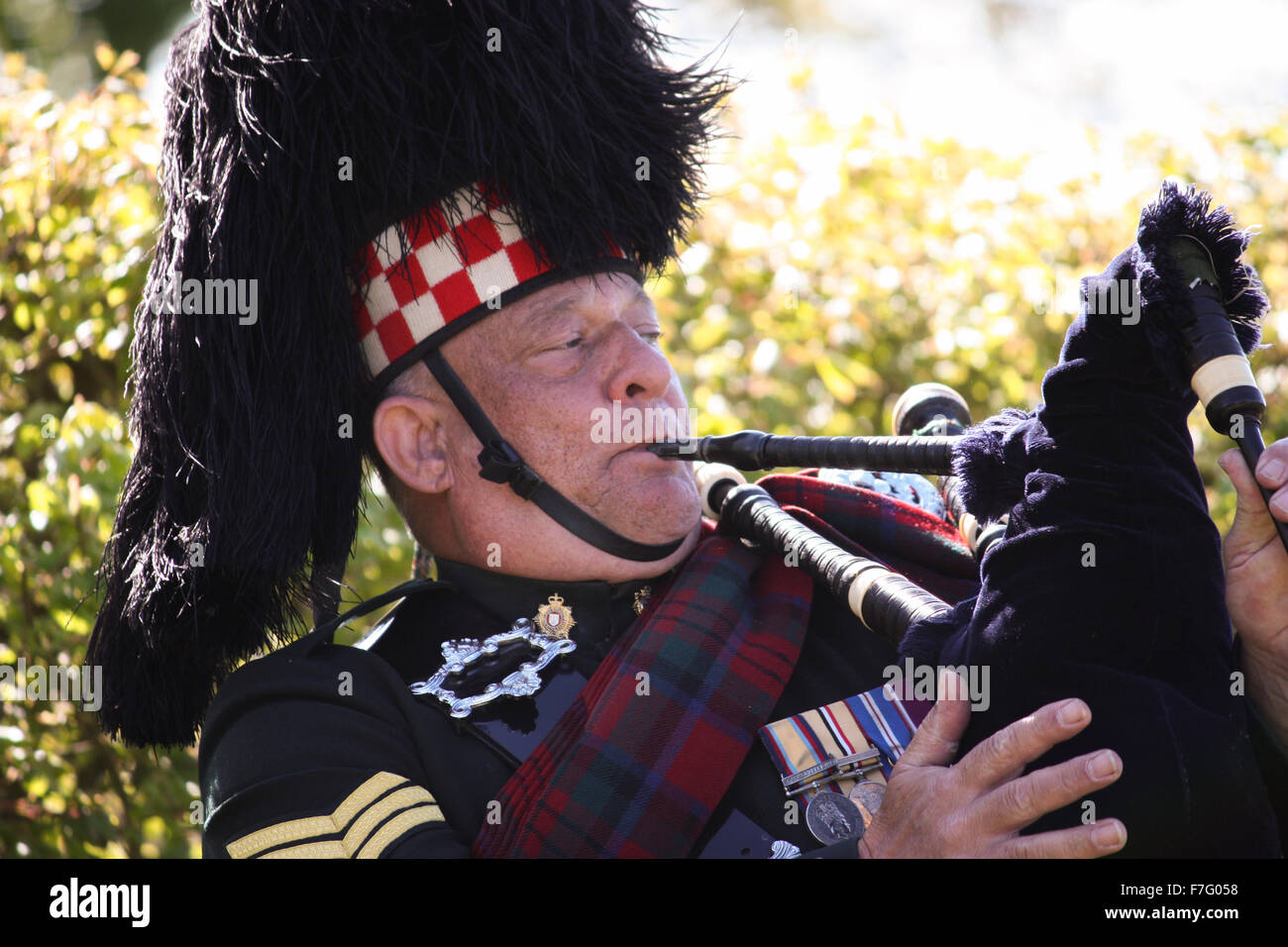 Bagpiper playing bagpipes hires stock photography and images Alamy