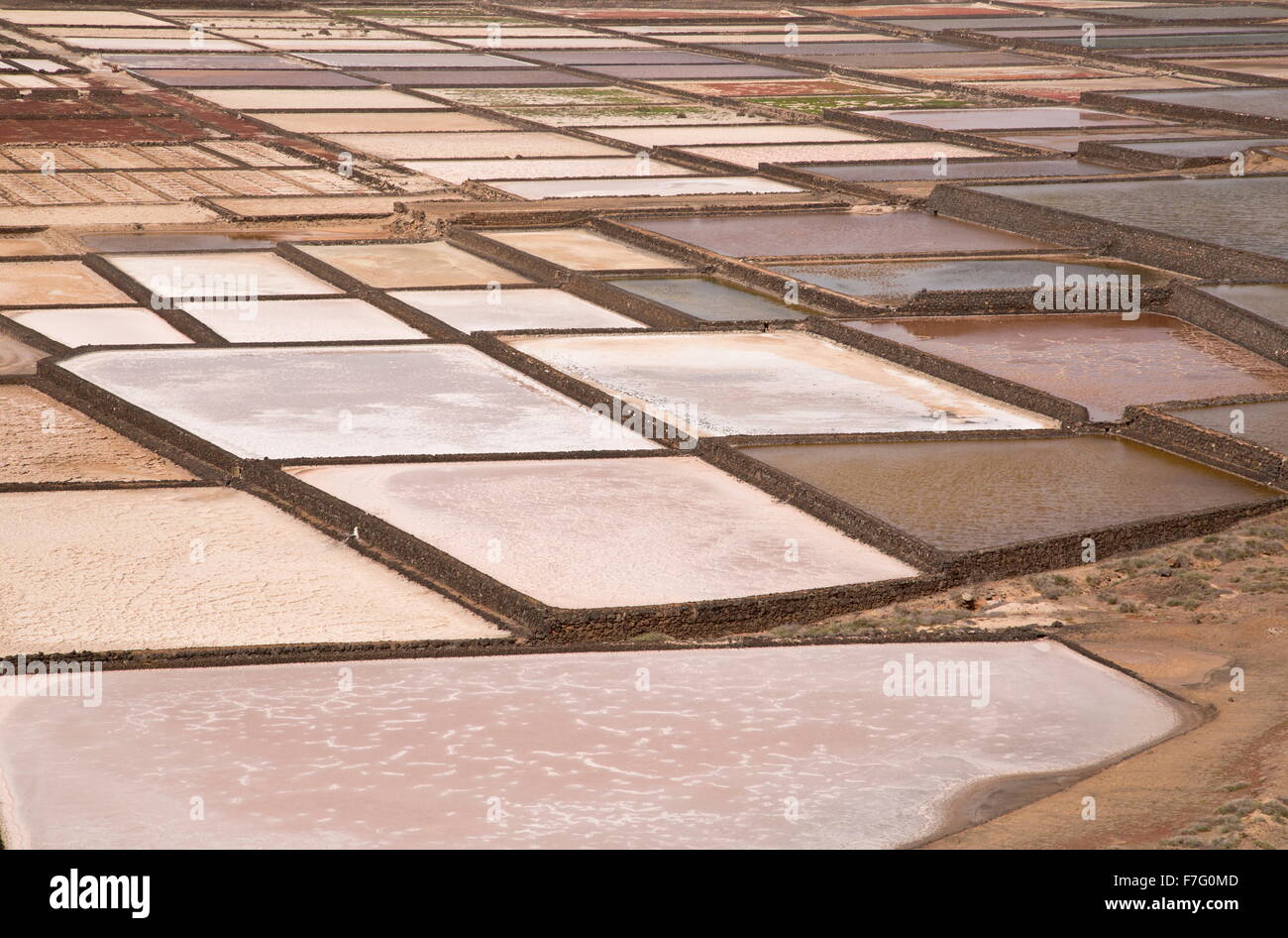 Active saltpans, or Salt evaporation ponds, at Salinas de Janubio, Lanzarote. Stock Photo