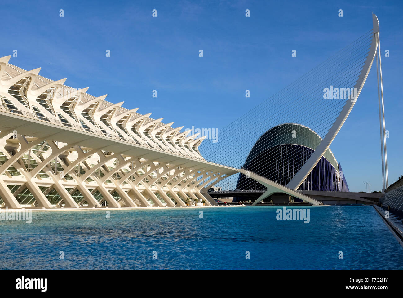 Museo de las Ciencias Príncipe Felipe, The City of Arts and Sciences