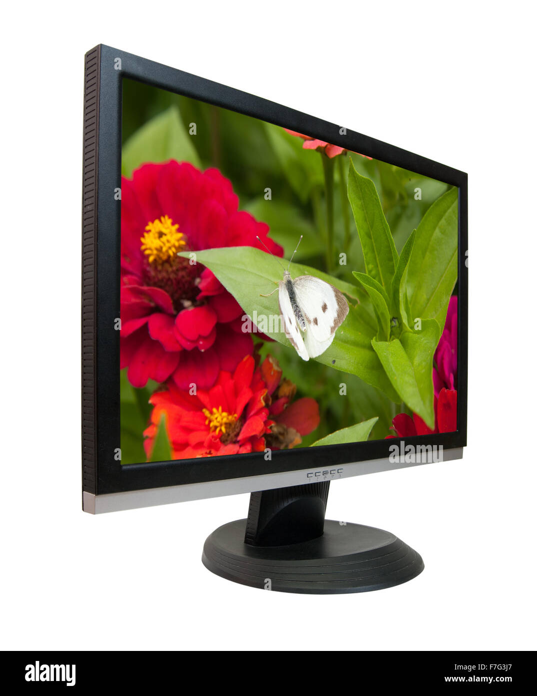 Lcd monitor with nature desktop. On screen my photo Stock Photo