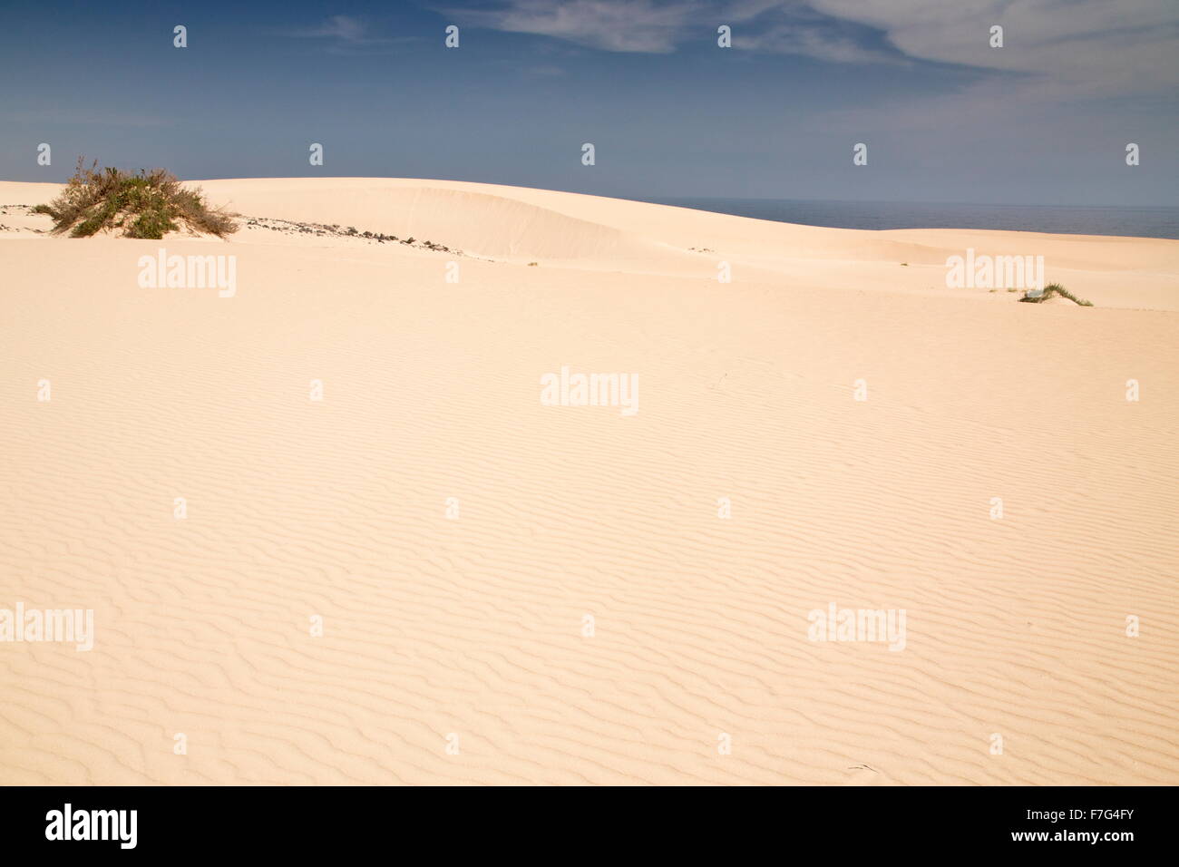 Sand-dunes in the Parque Natural de las dunas de Corralejo, Fuerteventura Stock Photo