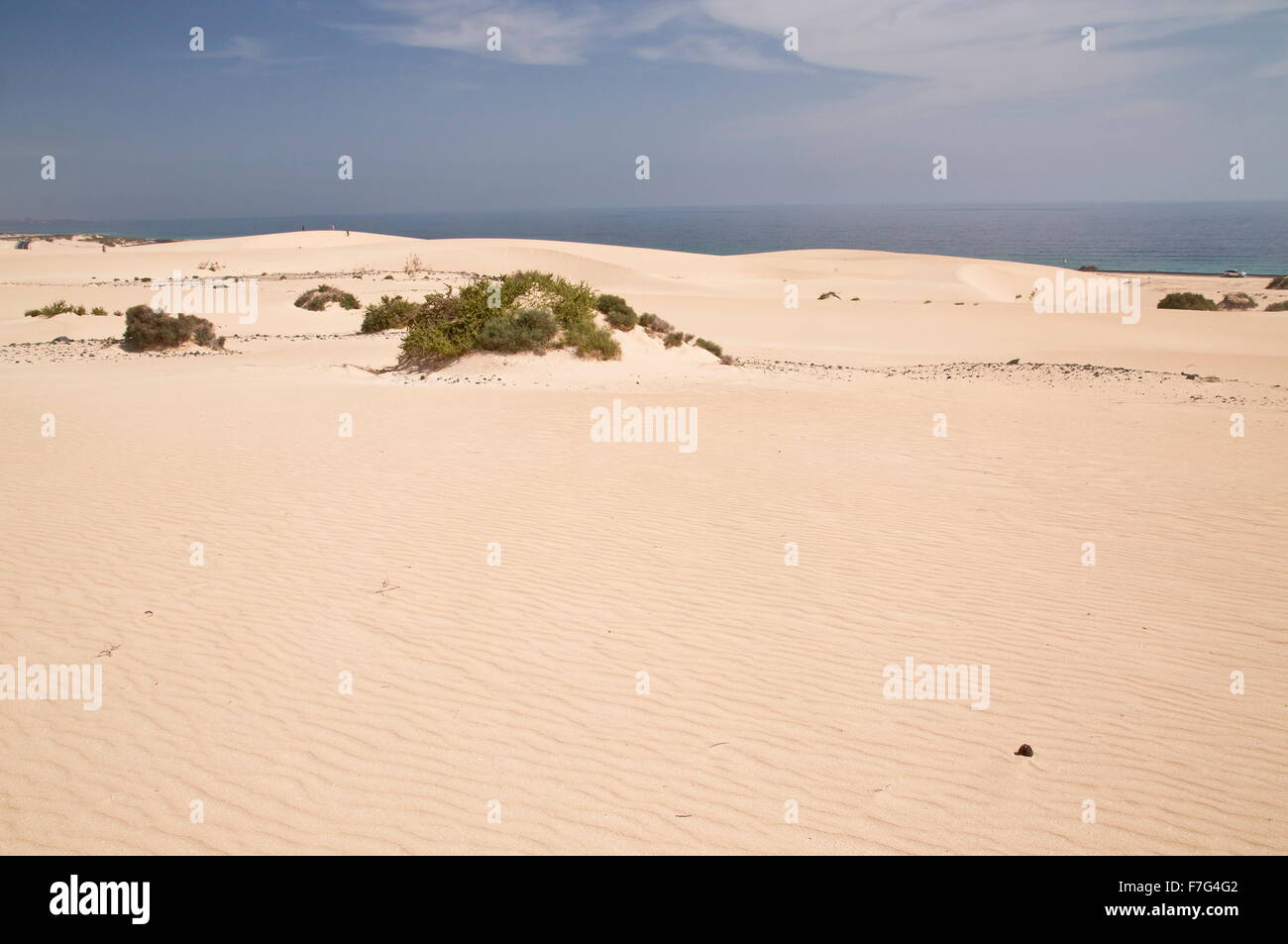 Sand-dunes in the Parque Natural de las dunas de Corralejo, Fuerteventura Stock Photo