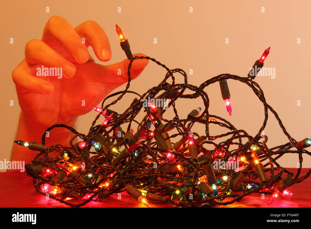 Man tangled in christmas lights hires stock photography and images Alamy