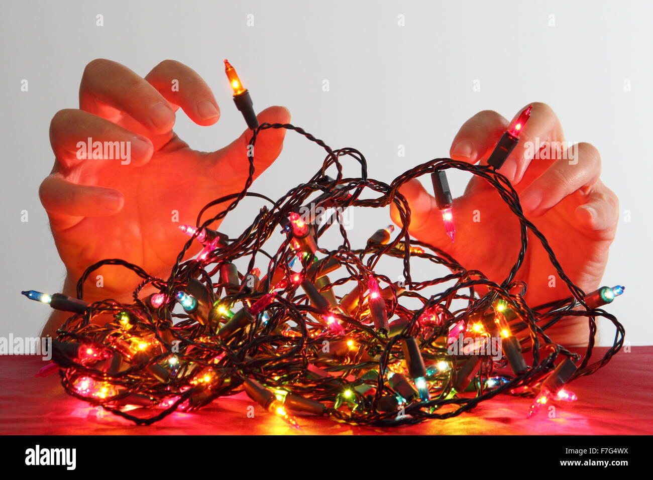Untangling christmas lights hires stock photography and images Alamy