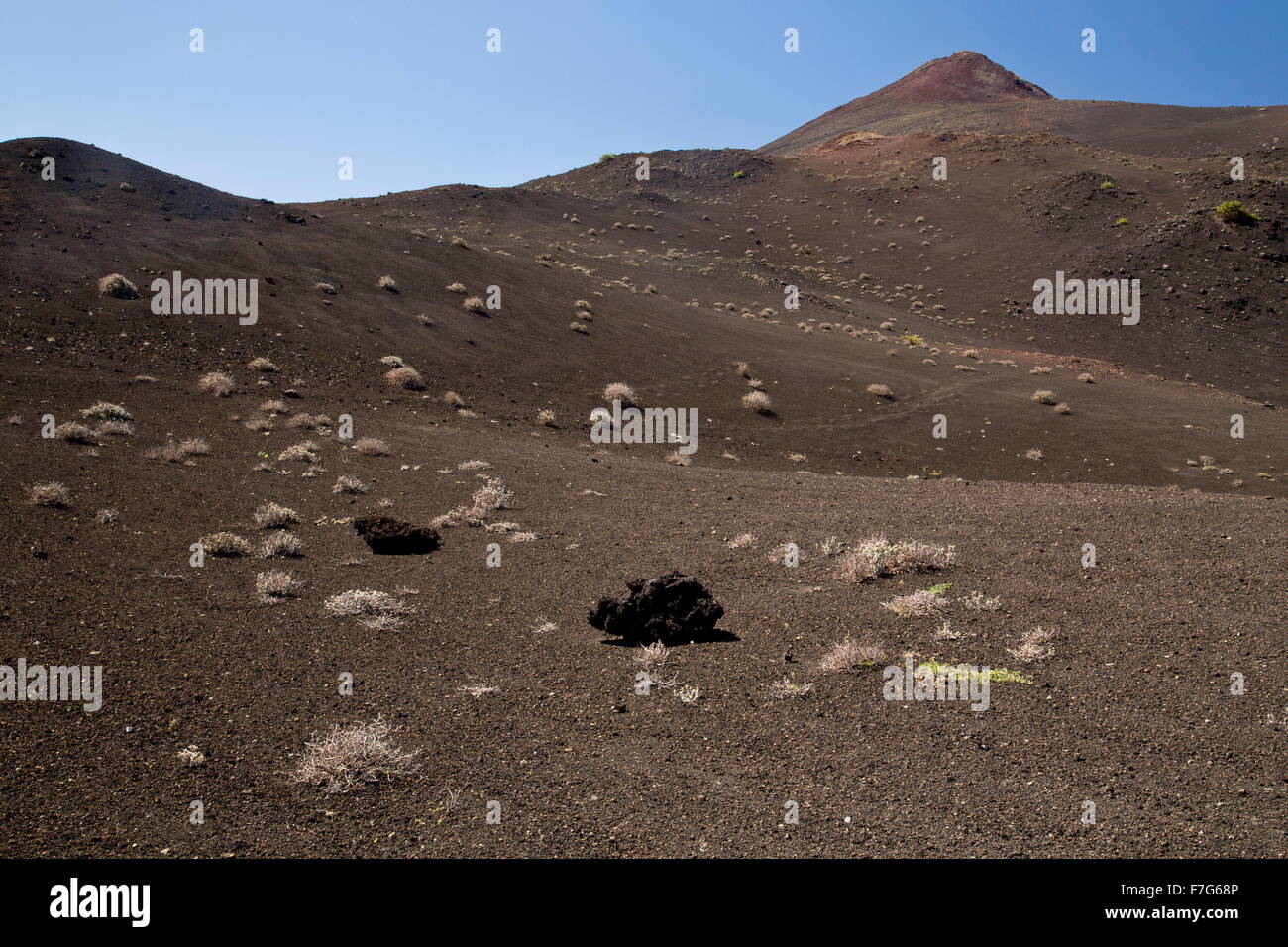 Stark volcanic landscape in the Timanfaya National Park,  central Lanzarote, with early colonising plants. Stock Photo