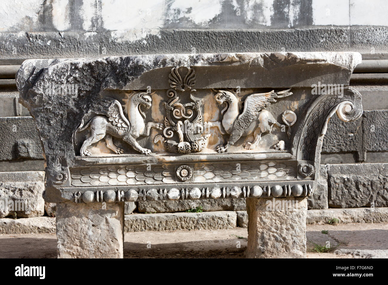 Carved relief depicting a griffin on a capital from the fringed