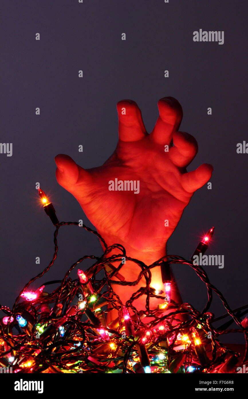 A man prepares to tackle a string of tangled Christmas fairy lights