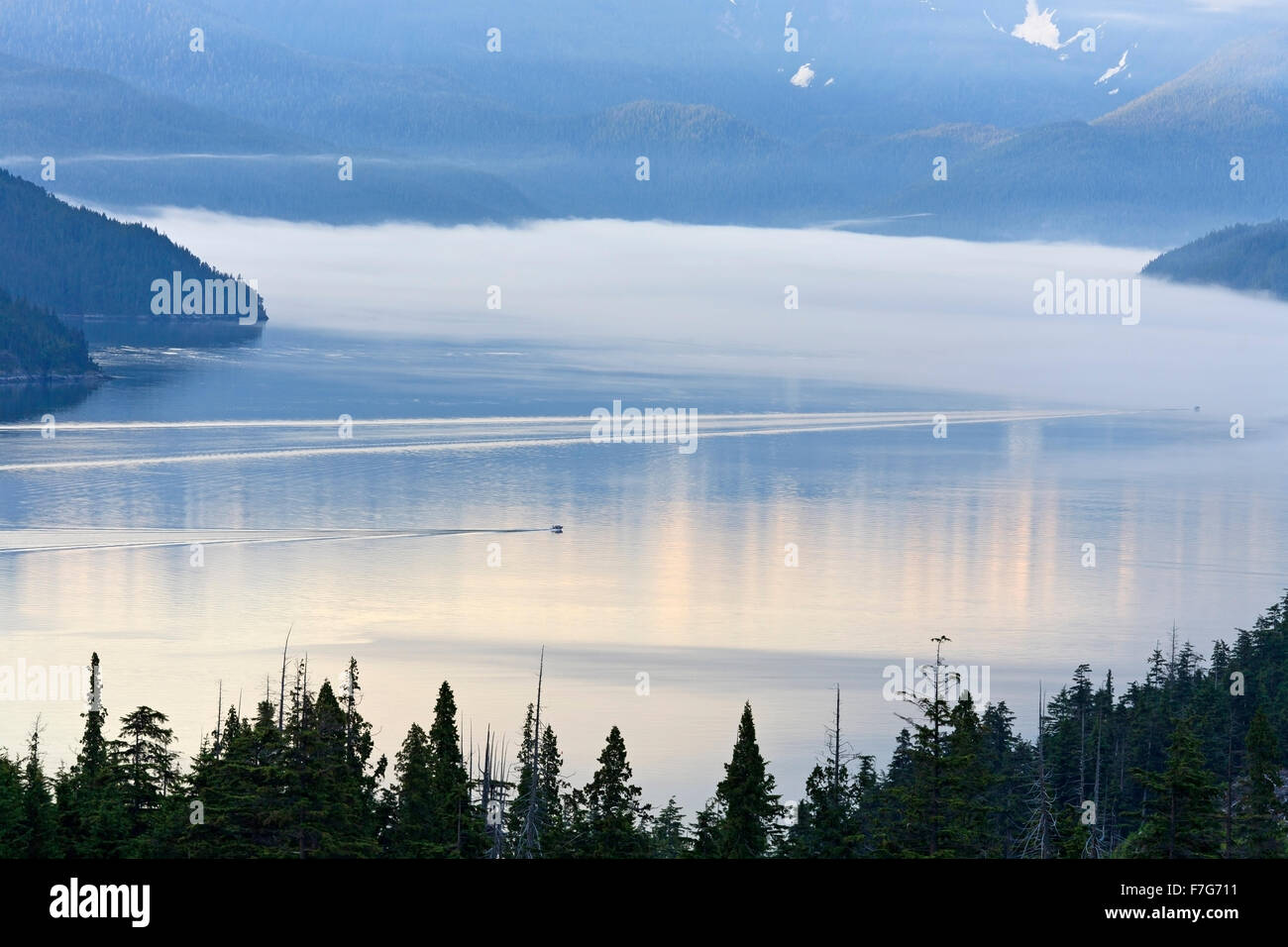 View of Douglas Channel from Bish Creek Forest Service road, Kitimat, British Columbia Stock Photo