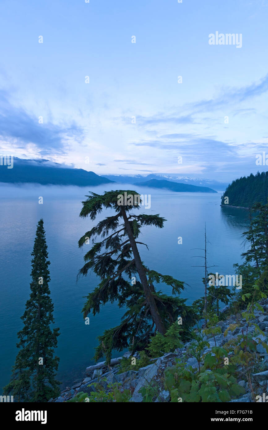 View down Douglas Channel from Bish Creek Forest Service road, near Kitimat, British Columbia Stock Photo