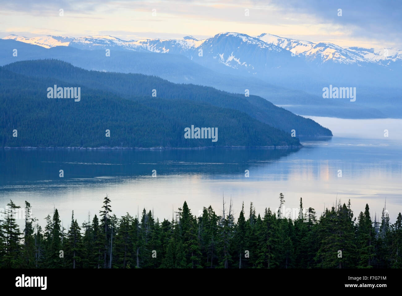 View of Douglas Channel from Bish Creek Forest Service road, Kitimat, British Columbia Stock Photo
