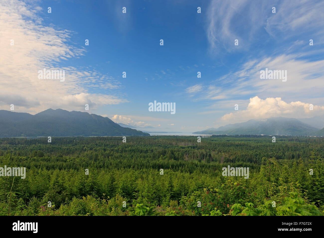 View towards Douglas Channel from lookout in Kitimat, British Columbia Stock Photo