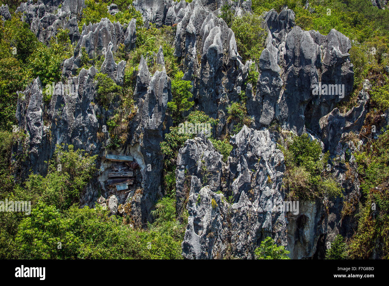 Coffins hang from cliff faces in the Grand Cordillera Mountain range in Sagada, Luzon, Philippines. Stock Photo