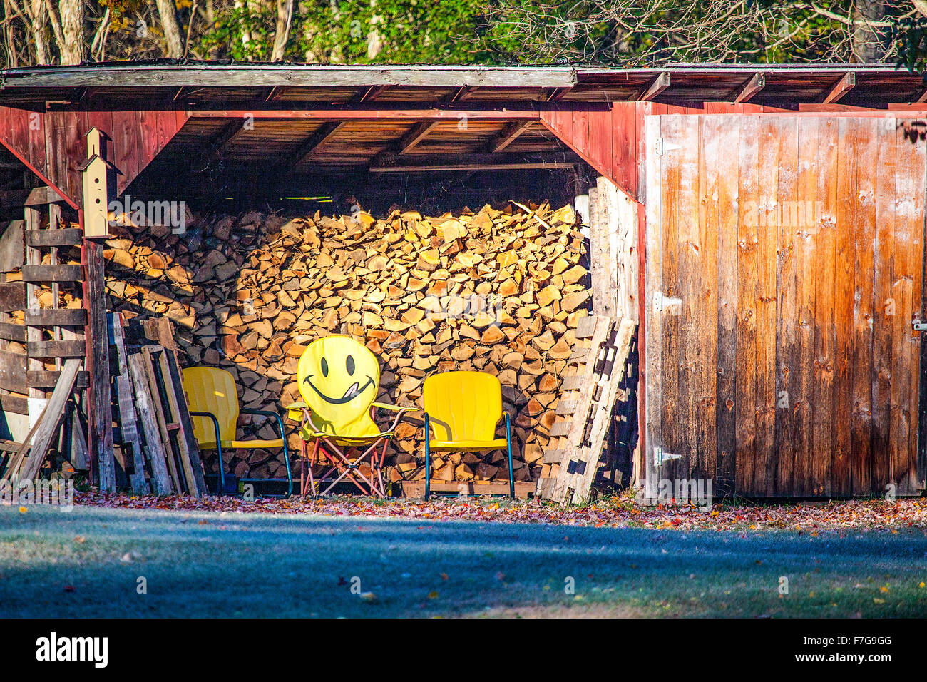 Panorama of a woodshed in New Hampshire, USA with three yellow chairs inside, one has a happy face emoji painted on its back. Stock Photo