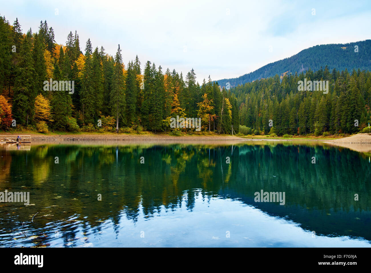 Beautiful reflection of trees in the mountain forest lake Stock Photo ...