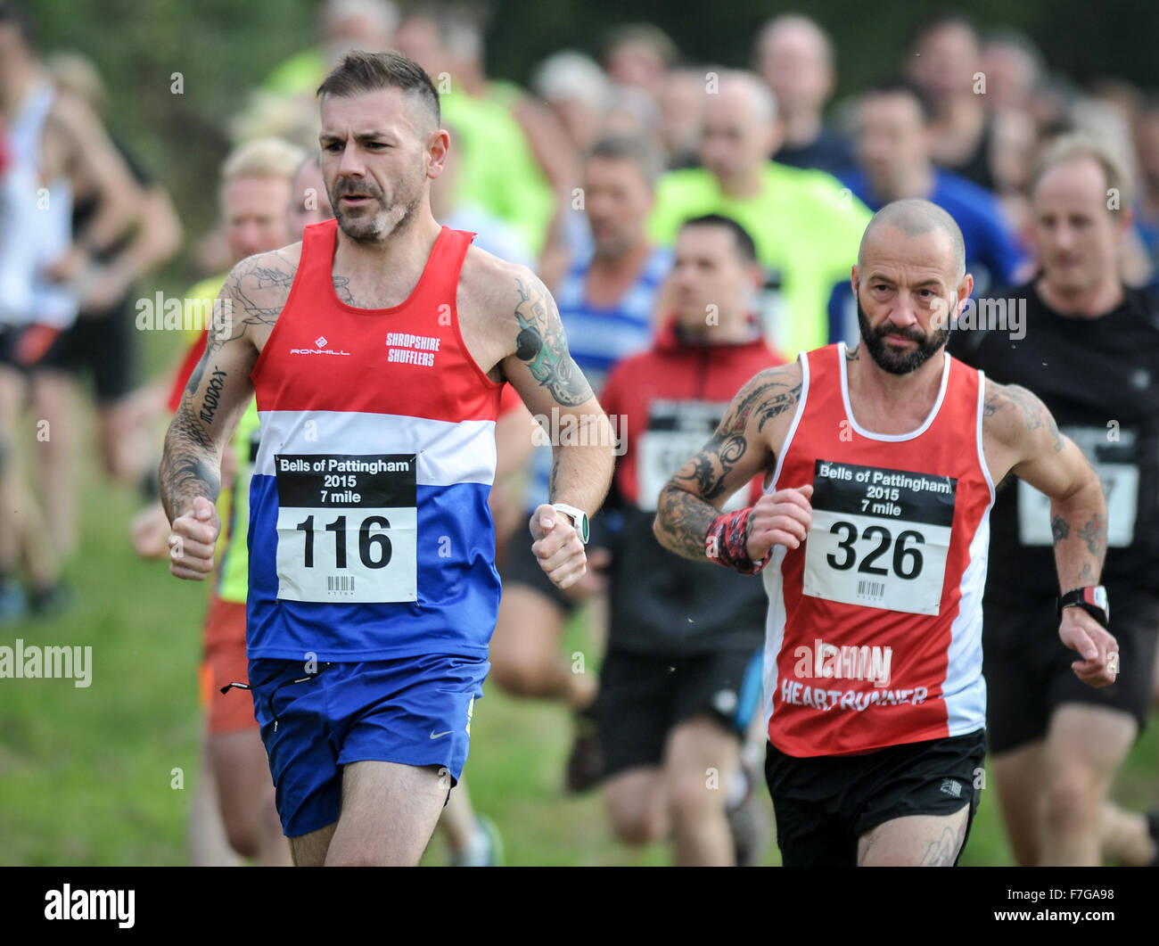 Pattingham Bell's Run 2015 set in the rolling hills of Staffordshire, near Codsall Wood, West Midlands, England, UK Stock Photo