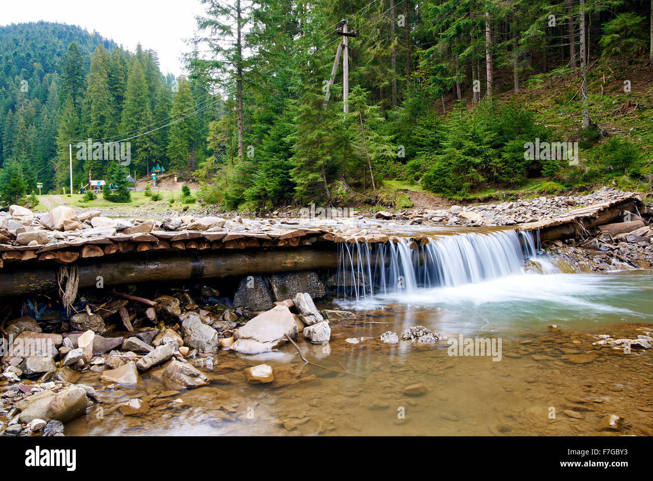 Stream water in forest alps hi-res stock photography and images - Alamy