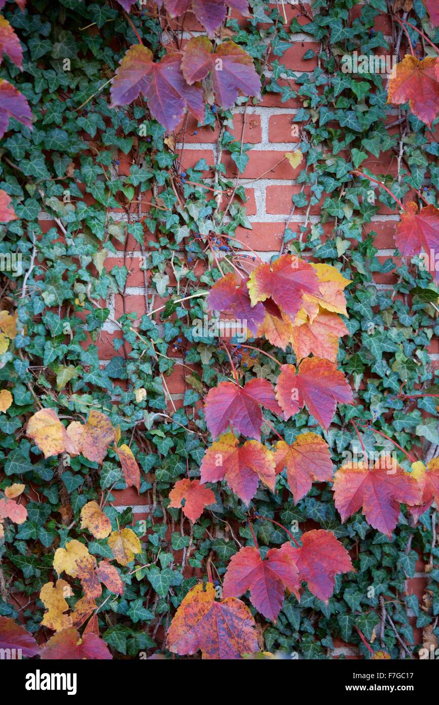 Autumn in the historic neighborhood of Beacon Hill, Boston, Massachusetts Stock Photo