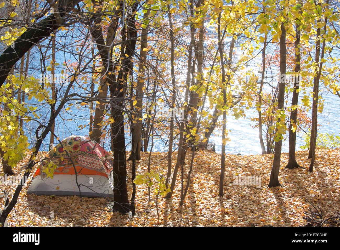 A tent set up next to a river in fall foliage. Stock Photo