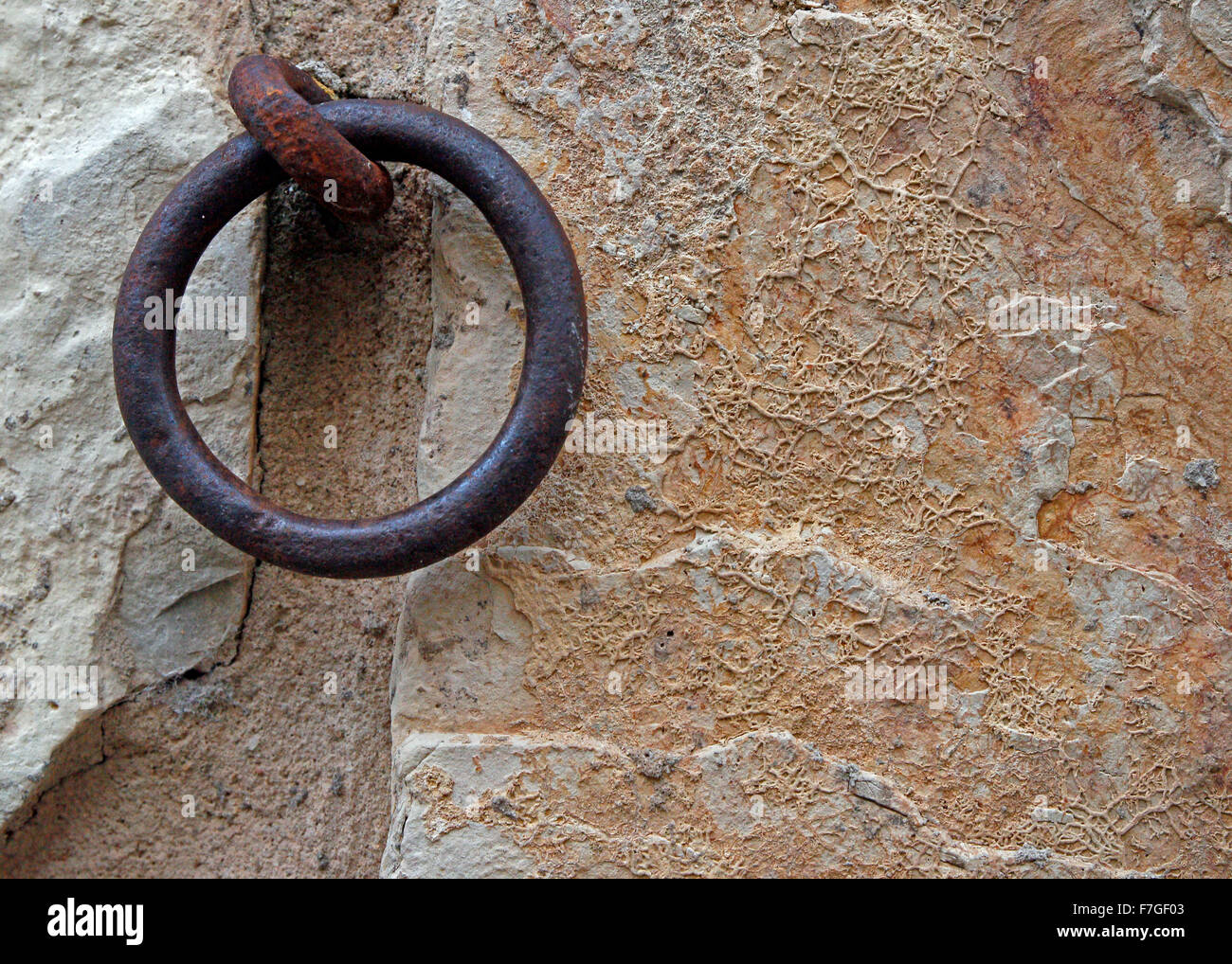 Old hitching ring on stone wall. Stock Photo