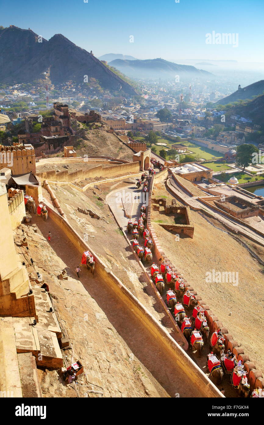 Elephants carrying tourists to the Amber Fort in Jaipur, Rajasthan, India Stock Photo